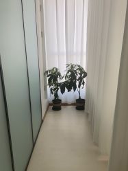 -薇兰专业脱毛连锁机构