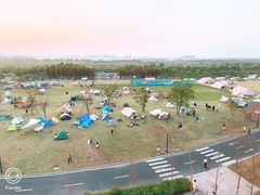 -春花秋色城市公园