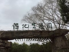 -昆山城市生态森林公园