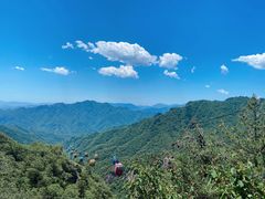 -朱雀国家森林公园