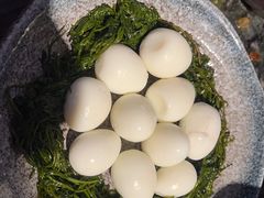 -重庆九记老火锅(广场店)