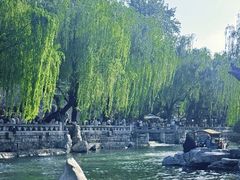 -金春禧(世茂国际广场店)