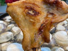 -顺德哥卜卜贝(旗舰店)