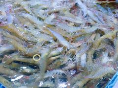 -聚盛源蒸汽海鲜火锅烤肉自助(巨川金海岸购物广场店)