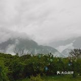 熊猫坪