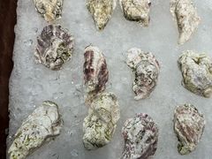 -蚝老板海鲜烧烤大排档(码头店)