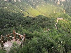 -大岭沟猕猴桃谷风景区
