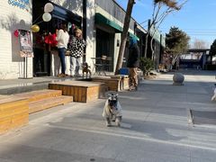 -小意思咖啡店(草桥店)