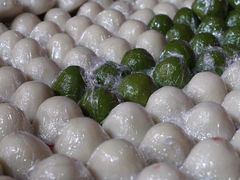 -梅村泰伯庙