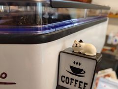 -春风十里咖啡馆