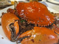 -喜记避风塘炒辣蟹(旗舰店)