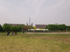 -泰丰公园