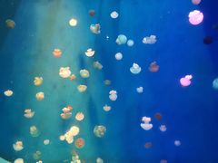-石林冰雪海洋世界