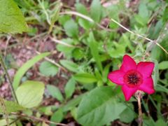 android_upload_pic-贵阳市花溪国家城市湿地公园