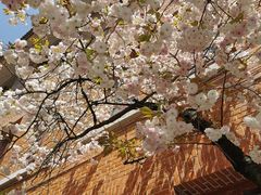 -贵州师范大学(宝山北路校区)