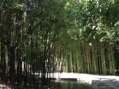 -南诏风情岛