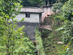 -中国大熊猫保护研究中心雅安碧峰峡基地