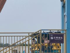 -秦皇岛乐岛海洋王国