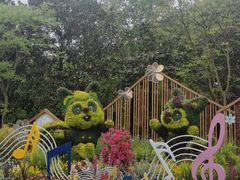 -上海共青森林公园