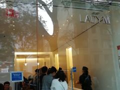 -Lady M Cake Boutique(麦迪逊大道店)