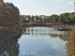 -柳鹭田园区