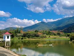 -海南霸王岭国家森林公园