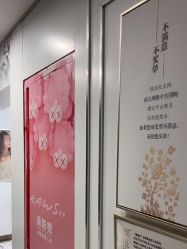 -镁连社·美联社