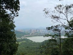 -风云岭森林公园