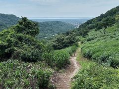 -东山风景区(洞庭东山)