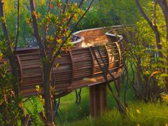 -云碧峰国家森林公园