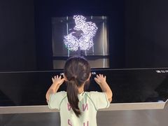 -洋湖国家湿地公园