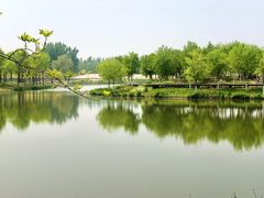 -东郊湿地公园