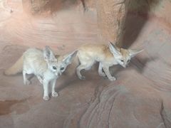 -长鹿旅游休博园