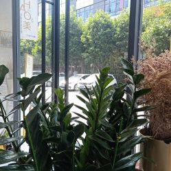 -HAO美皮肤管理·美甲美睫