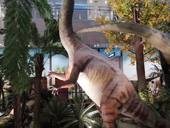 -湖南省地质博物馆