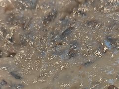 -犇鼎牛潮汕牛肉火锅(新辰里学清路店)