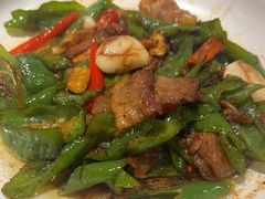 青椒炒肉-万重锦·人文川菜馆(骡马市店)