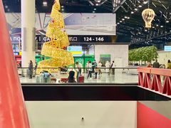 -谢列梅捷沃国际机场