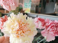 -翠峰苑火锅(迎宾路店)