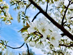 -白塘生态植物园