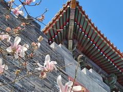 -东华门大街小区