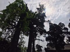 -香山公园