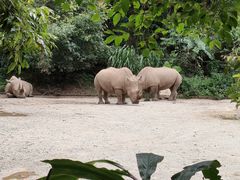 -普洱太阳河森林公园