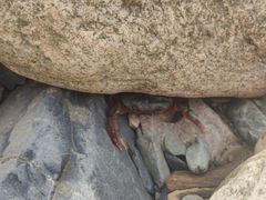 -雅鲁激流探险漂流