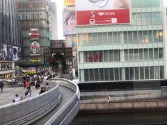 -蟹道乐(道顿堀本店)