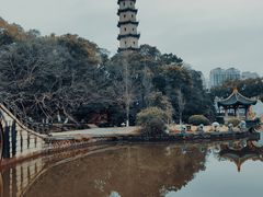 -江心屿景区