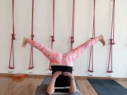 -Y+U遇瑜伽·普拉提