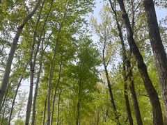 -秦皇岛野生动物园
