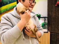 -藦茜花园宠物主题亲子互动体验馆(国顺东路店)