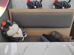 -喵园·猫主题咖啡厅·撸猫·猫咖(国贸店)